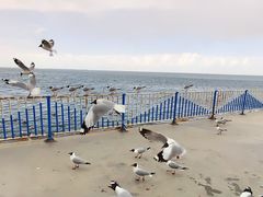 -青海湖二郎剑景区