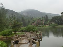 -普陀山风景名胜区-千步大沙