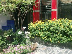 -尼玛藏家风味园(阿山食城店)