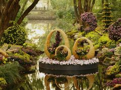 -上海共青森林公园