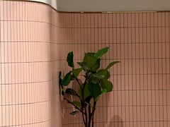 -夏佐CHASEL(横店康庄路店)