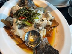 青花椒蒸龙胆鱼-闽和南(深圳万象城店)