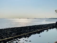-上海吴淞炮台湾国家湿地公园