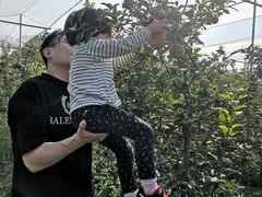 -意大利农场度假村