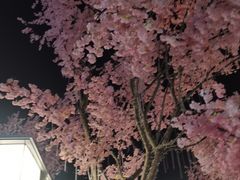 -首开·龙湖成都西宸天街