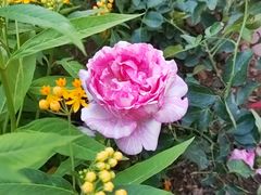 -人民公园(罗湖区)