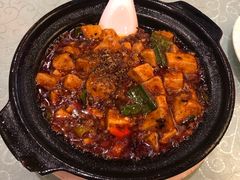 -陈麻婆豆腐总店