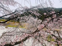 -岚山嵯峨野观光小火车