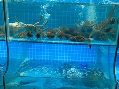 -挂旗柴锅鸡(蚌山区嘉年华店)