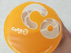 -CoCo都可(铁西万达店)