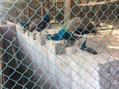 -南京金牛湖风景区