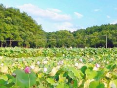 -韶山毛泽东同志故居