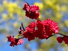 -大兴滨河森林公园