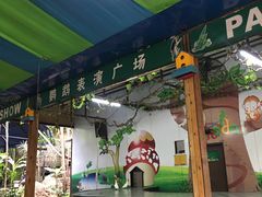 -呀诺达热带雨林