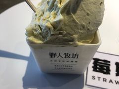 -野人牧坊Gelato(天津南开大悦城店)