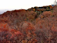 -北京西山国家森林公园