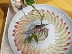 -鲤·鮨KOISUSHI
