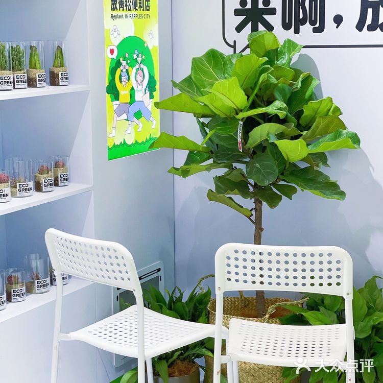 杭州探店|商场里的一抹绿|满满的春日气息