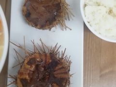 -海胆小馆(东北水饺·春柳店)