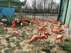 -秦皇岛野生动物园
