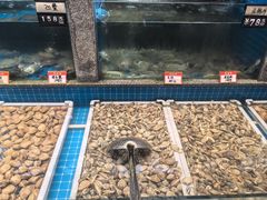 -码头鲜精致威海菜(欧乐坊店)