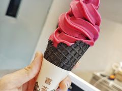 冰山杨梅脆筒-喜茶(东莞汇一城店)