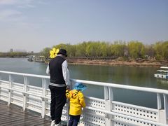 -大兴滨河森林公园