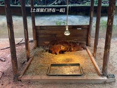 -昆明青龙峡风景区