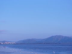 -深圳湾公园(南山区)