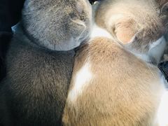 -Wagas沃歌斯(大学路店)