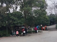 -杭州少年儿童公园
