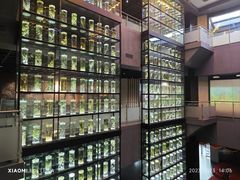 -广东中医药博物馆