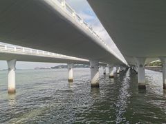 -演武大桥观景平台