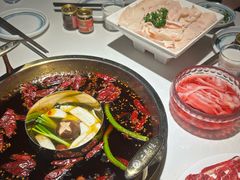 -二荆条·城市森林火锅旗舰店