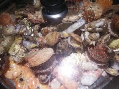 -大连路6号好酒不见