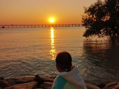 -宝安西湾红树林湿地公园