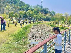 -东莞植物园