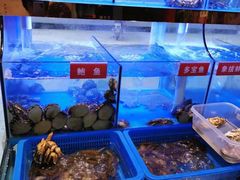 -小龍鳳·港式海鲜打边炉(沙湖路店)