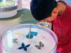 -陕西自然博物馆