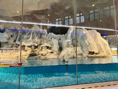 -帝企鹅自助餐厅•儿童岛•真企鹅(长隆企鹅酒店)