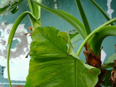 -娜娜度假小旅馆