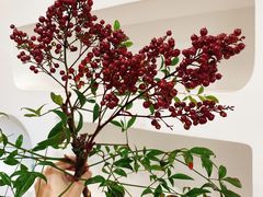 -森野花艺培训·企业团建活动沙龙