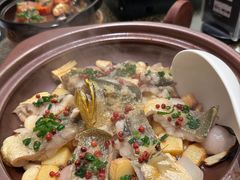 黄花鱼-彩丰楼中餐厅·早茶·点心·粤菜(海口华彩洲际酒店)