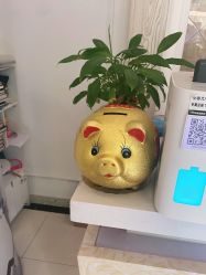 -香秀空间科技抗衰·美容中心