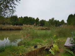 -Supine Bistro溯泮餐厅