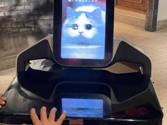 -東大方(湖州白鹭迎店)