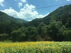 -关山草原