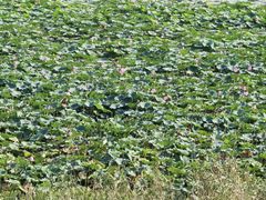 -上海市保健医疗中心