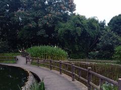 -成都市活水公园