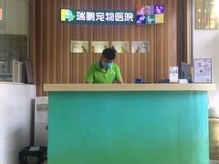 -瑞鹏宠物医院·骨科·猫科·内科(第一中心)